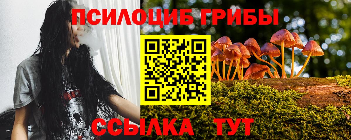 Михайловка  Галлюциногенные грибы мухоморы  Вход с VPN  Галлюциногенные грибы MAGIC MUSHROOMS 